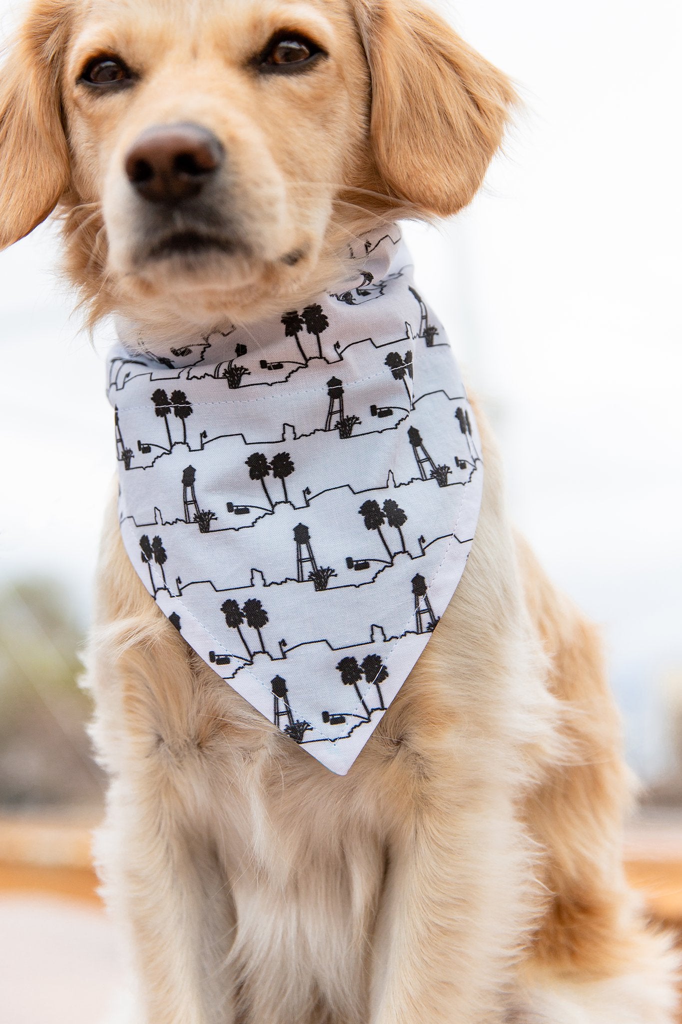 Collar Puppy Neckerchief 4th Of July Puppy Bandana LRRH Fashion