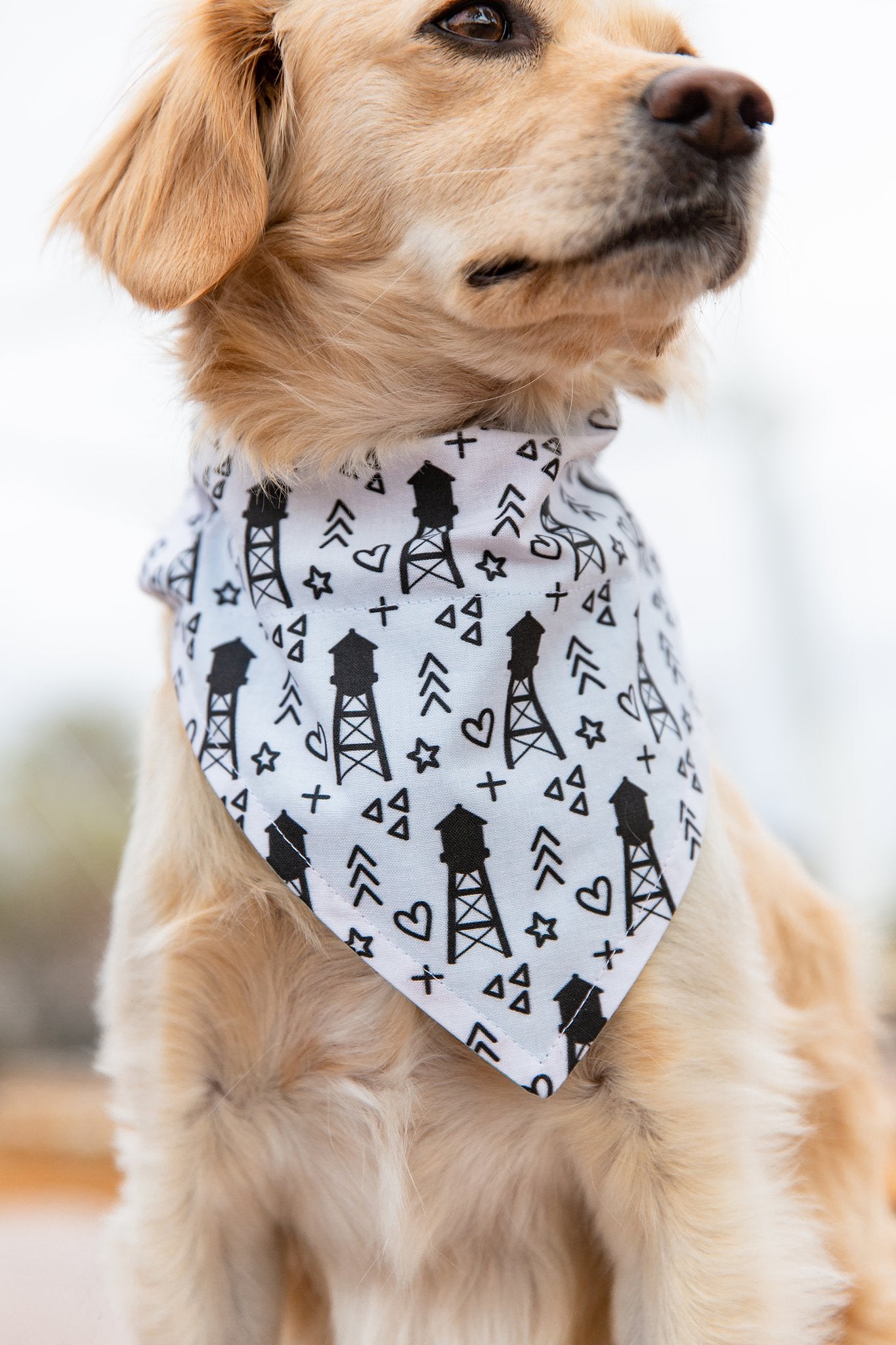 Arizona Cardinals Dog Bandana Adjustable Collar Dog 